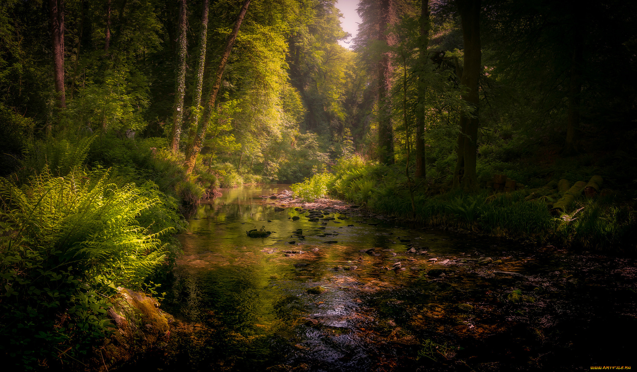 Река в лесу